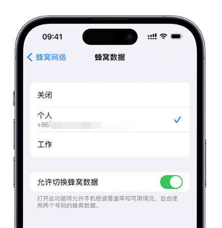 泸州苹果维修服务分享如何在iPhone上使用双卡 